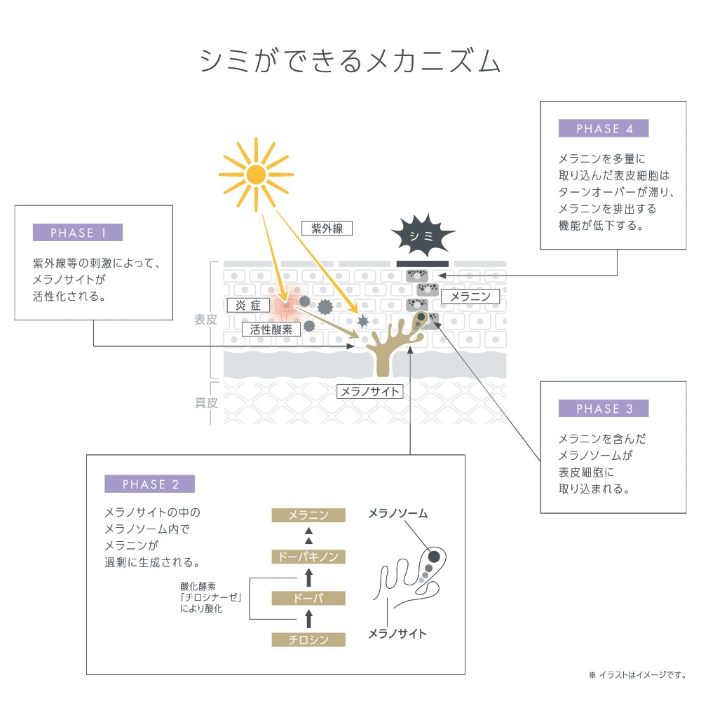 TBC PRENITY プレニティ ホワイトクリームEX_60g: プレニティ｜TBC