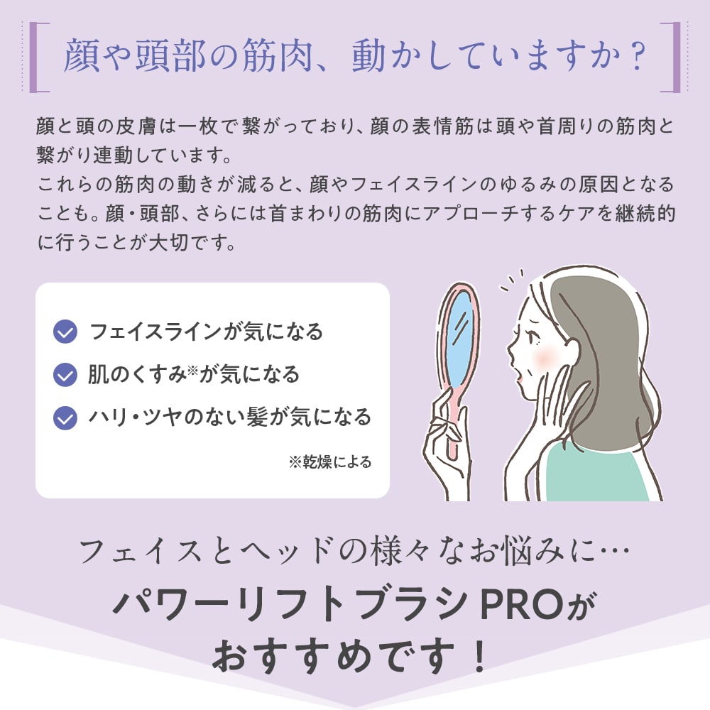 交換無料！ TBCパワーリフトブラシプロ電気バリPOWDER LIFT BRUSH PRO