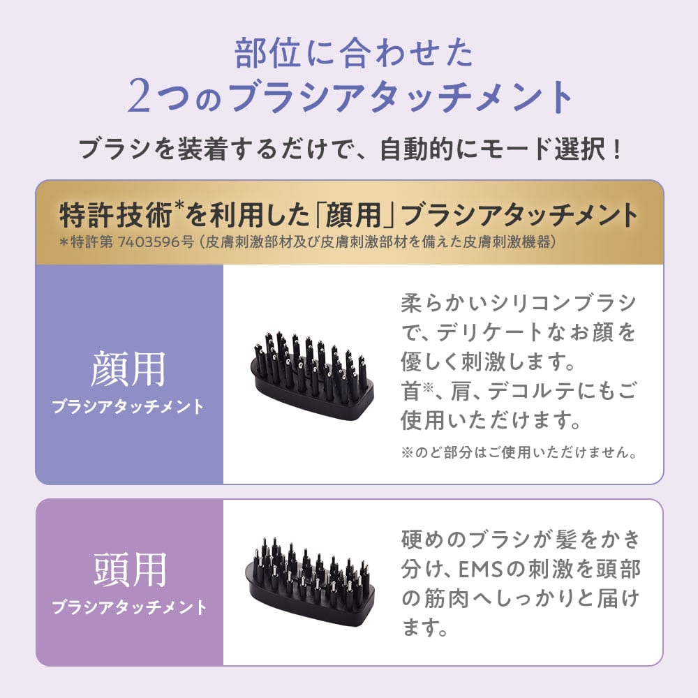 TBC パワーリフトブラシプロ電気バリPOWDER LIFT BRUSH PRO