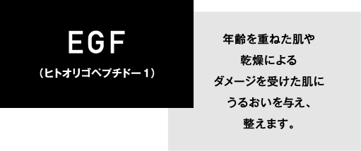 EGF：年齢を重ねた肌や乾燥によるダメージを受けた肌にうるおいを与え、整えます。