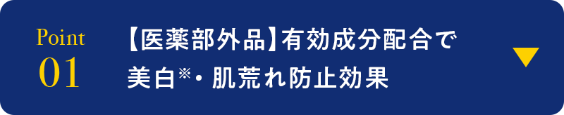 point01 【医薬部外品】有効成分配合で 美白※・肌荒れ防止効果