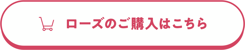 ローズのご購入はこちらから