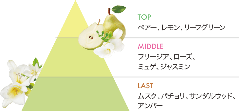 TOP MIDDLE LAST