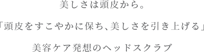 美しさは頭皮から。「頭皮をすこやかに保ち、美しさを引き上げる」美容ケア発想のヘッドスクラブ