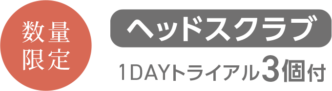 ヘッドスクラブトライアル