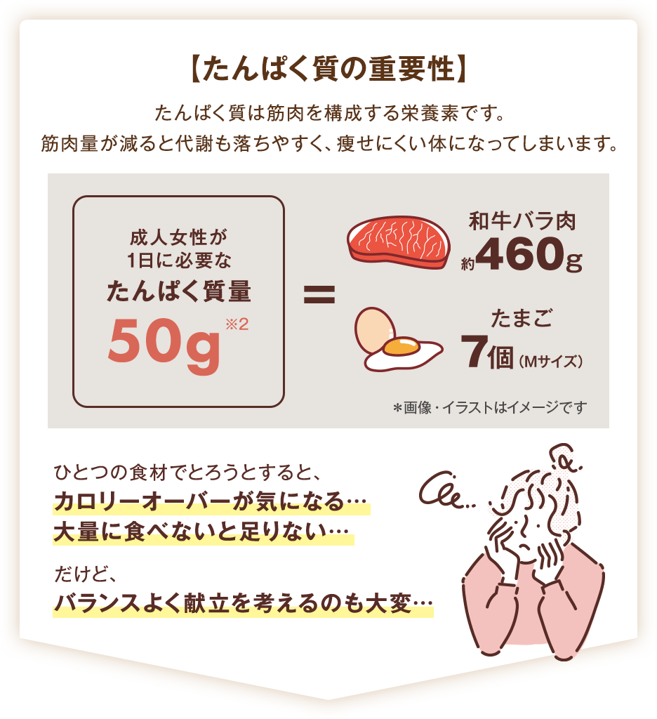 たんぱく質は筋肉を構成する栄養素です。 筋肉量が減ると代謝も落ちやすく、痩せにくい体になってしまいます。