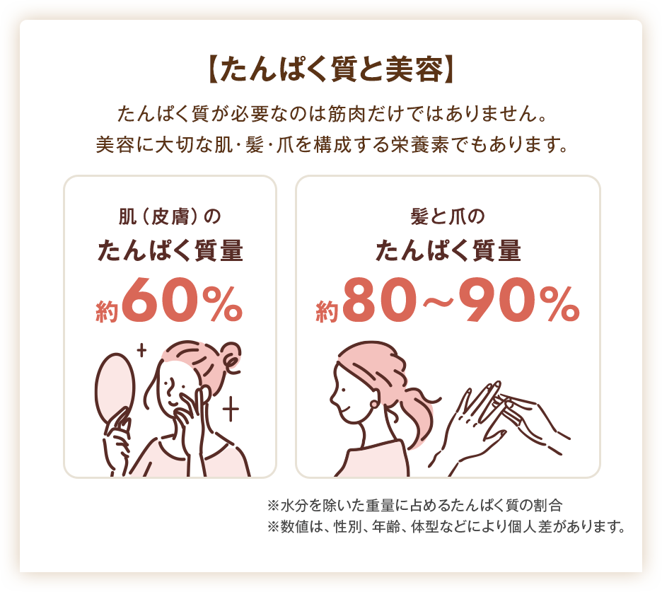 たんぱく質が必要なのは筋肉だけではありません。 美容に大切な肌・髪・爪を構成する栄養素でもあります。