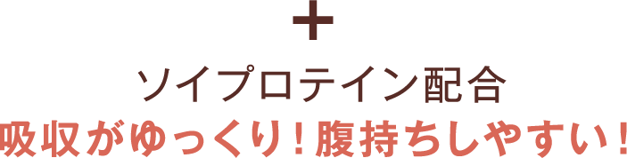 ソイプロテイン配合 吸収がゆっくり！腹持ちしやすい！