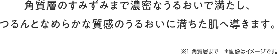 角質層のすみずみまで濃密なうるおいで満たし、つるんとなめらかな質感のうるおいに満ちた肌へ導きます。