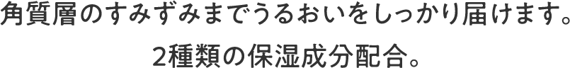 角質層のすみずみまでうるおいをしっかり届けます。2種類の保湿成分配合。