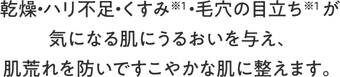 乾燥・ハリ不足・くすみ※1・毛穴の目立ち※1 が気になる肌にうるおいを与え、肌荒れを防いですこやかな肌に整えます。
