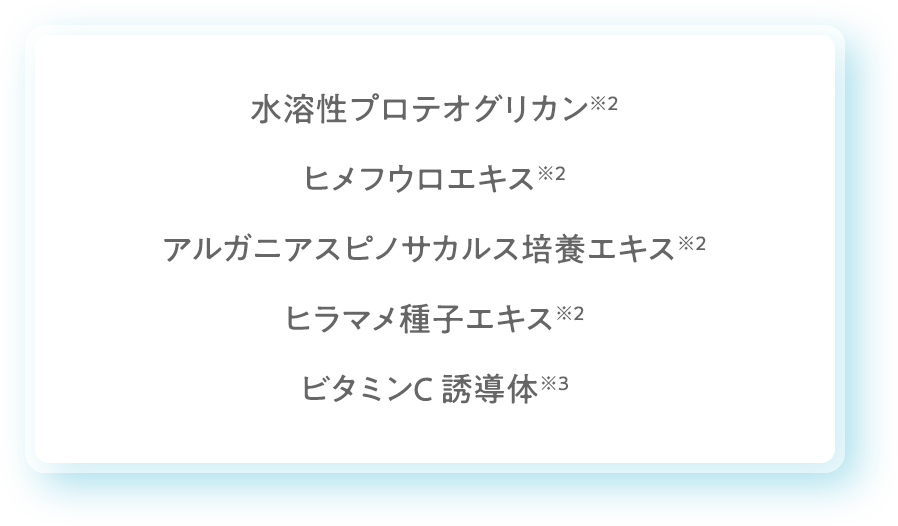 水溶性プロテオグリカン※2 ヒメフウロエキス※2 アルガニアスピノサカルス培養エキス※2 ヒラマメ種子エキス※2 ビタミンC
