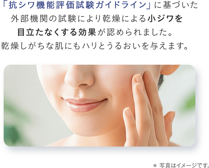 「抗シワ機能評価試験ガイドライン」に基づいた外部機関の試験により乾燥による小ジワを目立たなくする効果が認められました。乾燥しがちな肌にもハリとうるおいを与えます。