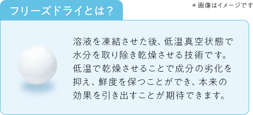 フリーズドライ：溶液を凍結させた後、低温真空状態で水分を取り除き乾燥させる技術です。低温で乾燥させることで成分の劣化を抑え、鮮度を保つことができ、本来の効果を引き出すことが期待できます。