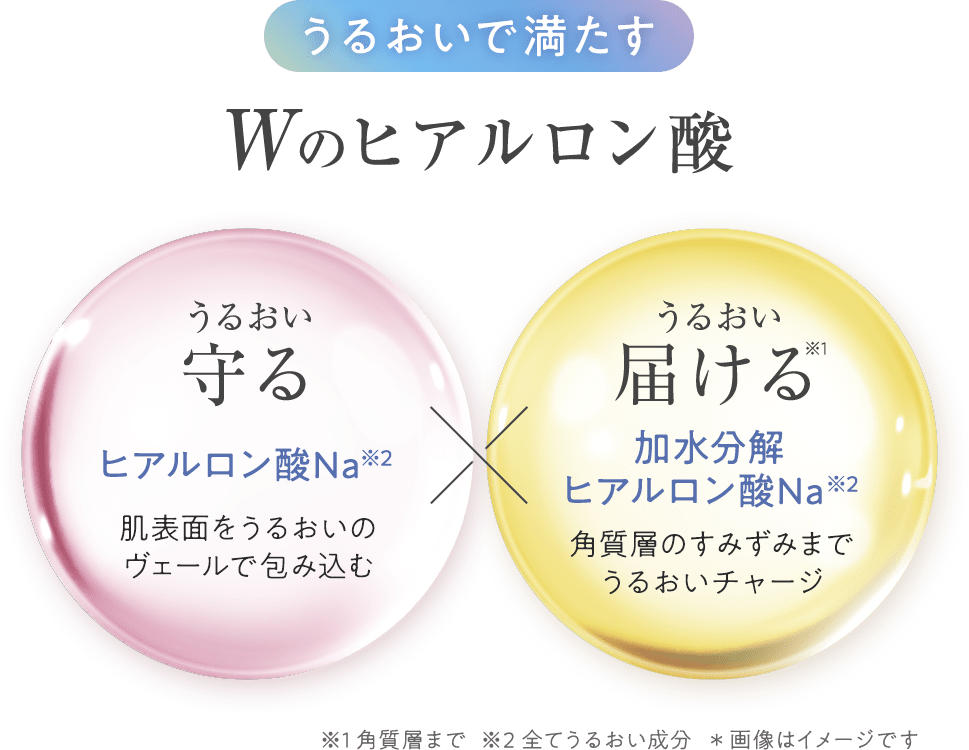 うるおいで満たすWのヒアルロン酸
