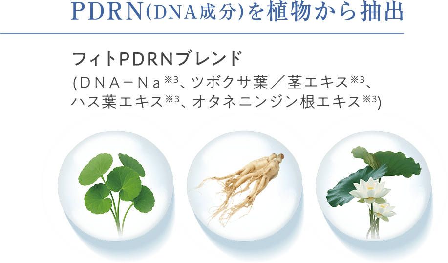 PDRN(DNA成分)を植物から抽出