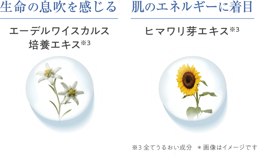生命の息吹を感じる/肌のエネルギーに着目