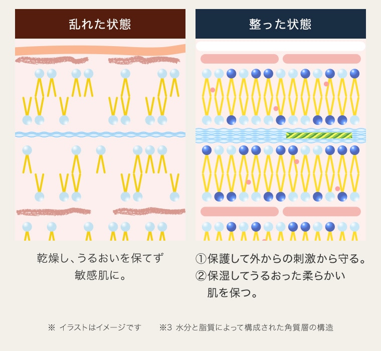 お肌の状態