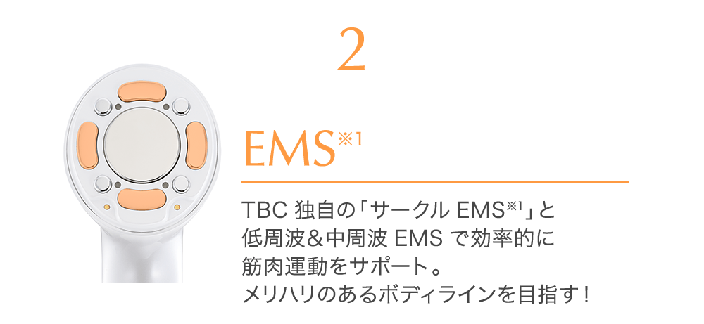 EMS※1