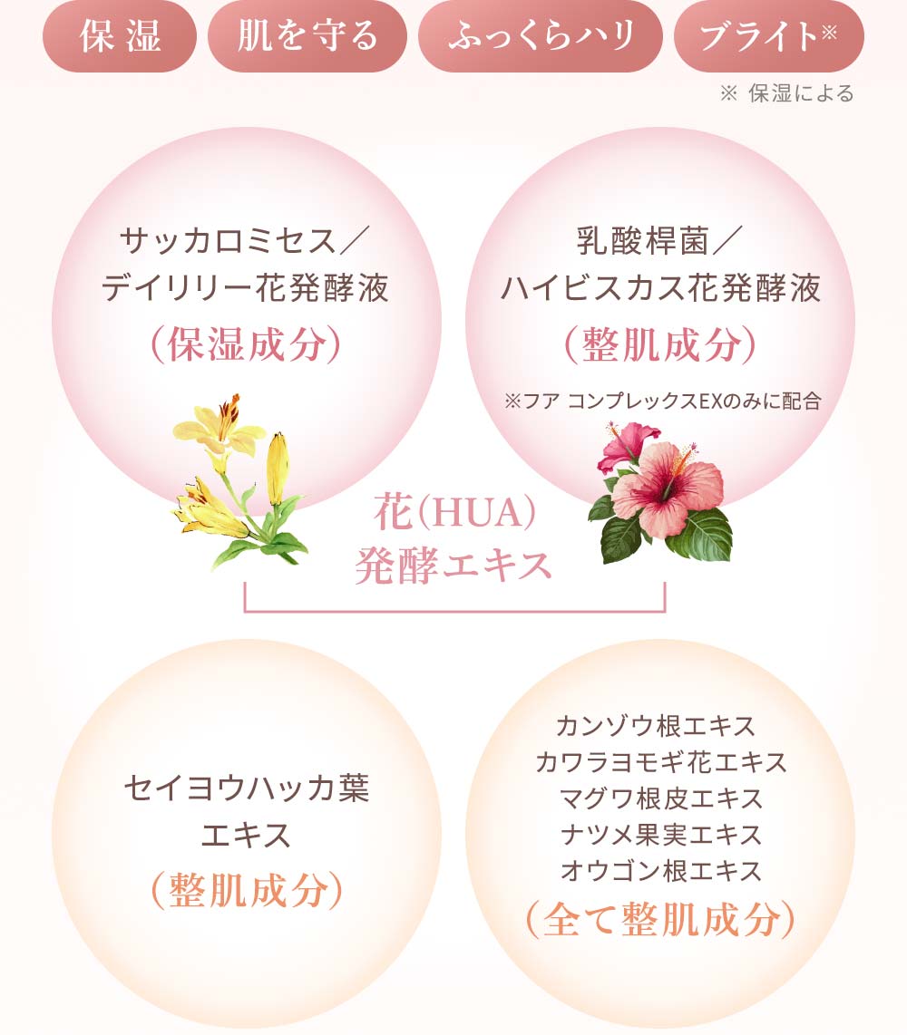 ハリとうるおいを与えて、 ふっくら&透明感のある肌へ。