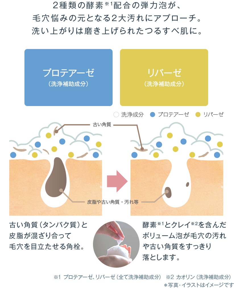 2種類の酵素※1配合の弾力泡が、 毛穴悩みの元となる２大汚れにアプローチ。 洗い上がりは磨き上げられたつるすべ肌に。