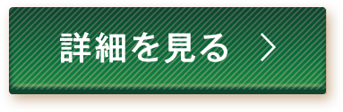 詳細を見る