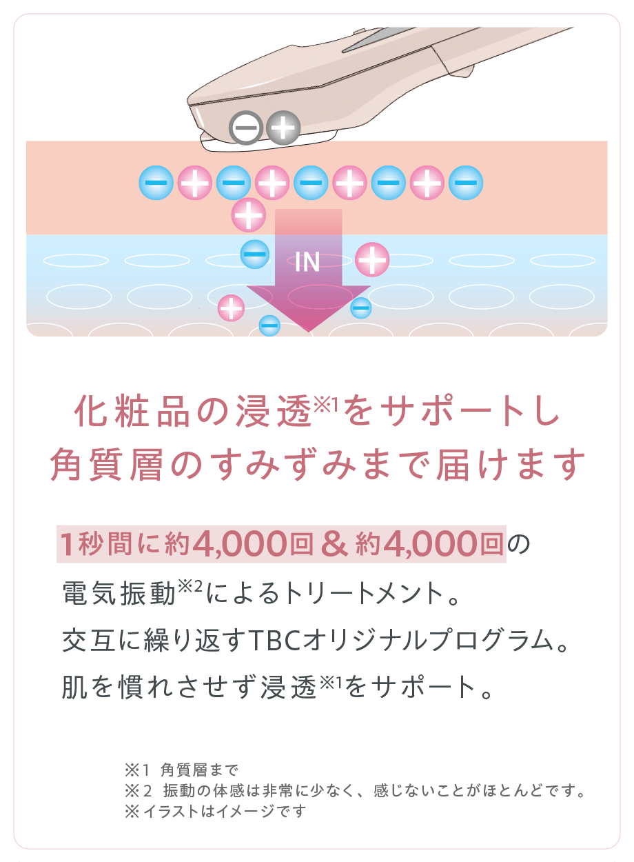 化粧品の浸透※1をサポートし角質層のすみずみまで届けます