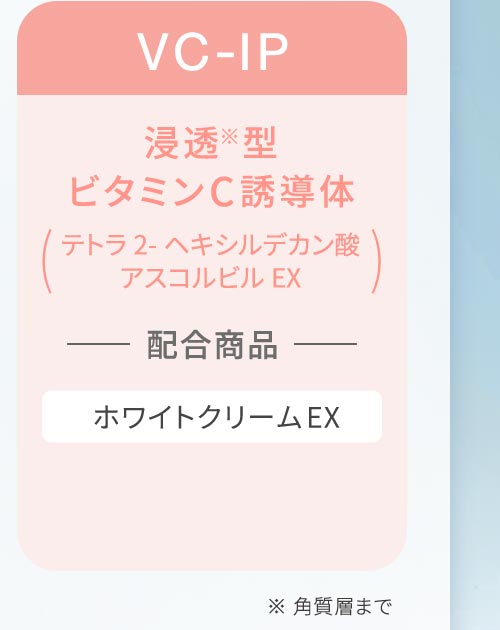 浸透※型ビタミンC誘導体
