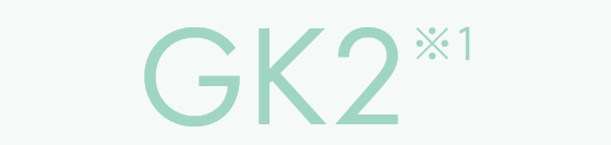 GK2※1