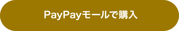 Pay Payで購入