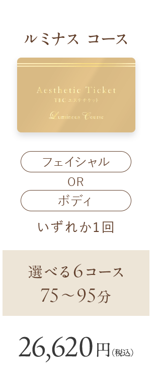 TBCエステチケット ルミナスコース