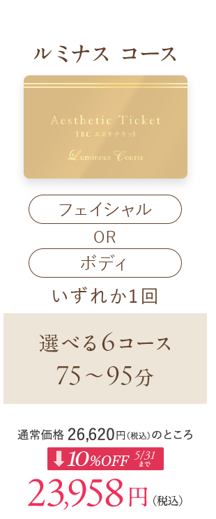 TBCエステチケット ルミナスコース