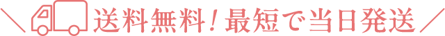 送料無料! 最短で当日発送
