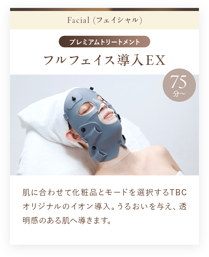 フルフェイス導入EX 