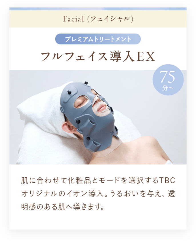 フルフェイス導入EX 