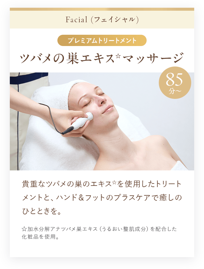 ツバメの巣エキス☆マッサージ